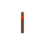 CONDEGA ROBUSTO