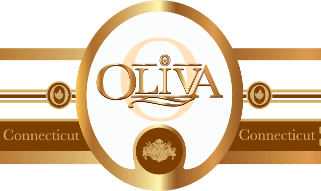 Connecticut-oliva.-e1637719949479